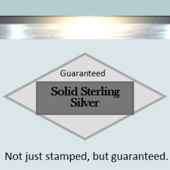 Sonoran Dendritic Rhyolite & Garnet Earrings - Picture 2 of 4